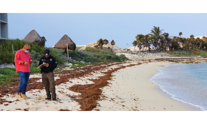 Ambientalistas denuncian ecocidio por construcción de hotel en Excacel, Tulum