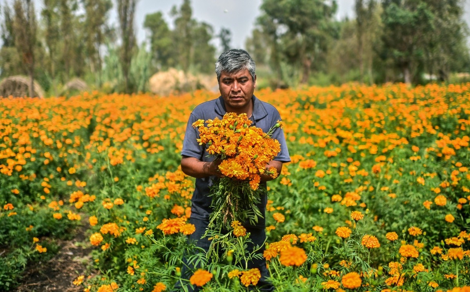 Según las leyendas indígenas, esos días los muertos vuelven al mundo de los vivos. (AFP)