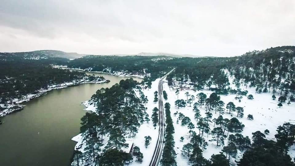 Llegaron las postales de invierno, ¡Chihuahua amanece cubierta de nieve!