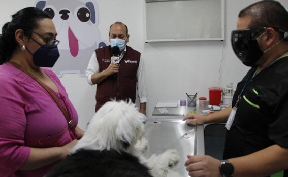 clinica_veterinaria_0.jpg